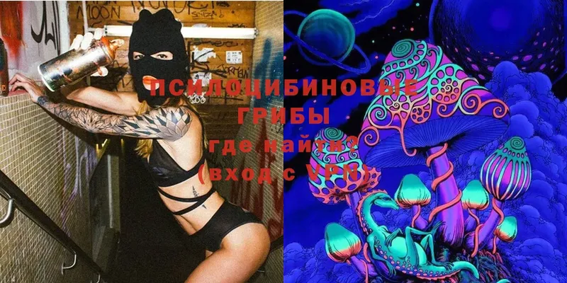 Галлюциногенные грибы Magic Shrooms  Сорск 